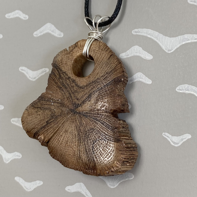 Honeysuckle - Unusual honeysuckle pendant with a twisted silver bail and 20" (51cm) waxed cotton necklace - I was found on a walk [047-0113]