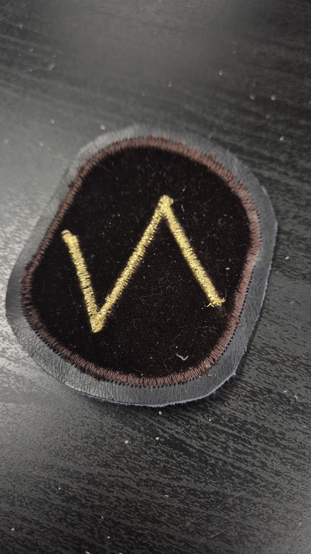 Patch Rune "EIHWAS"