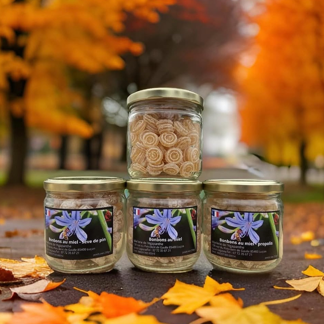 Bonbons au Miel-Eucalyptus 