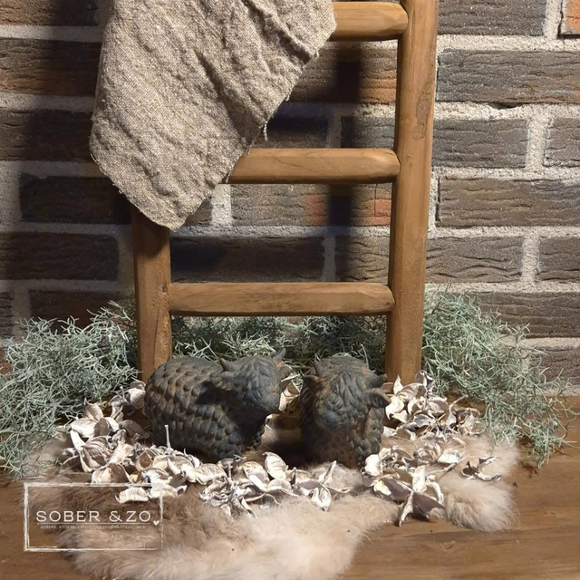 Hooglander beeldje M