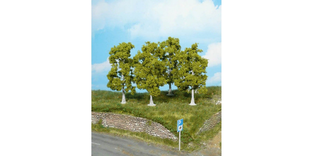 4 bouleaux 11cm heki 1921