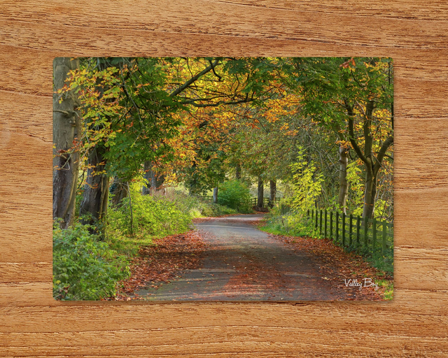 "Autumn in the Ewden Valley" Glass Worktop Saver 