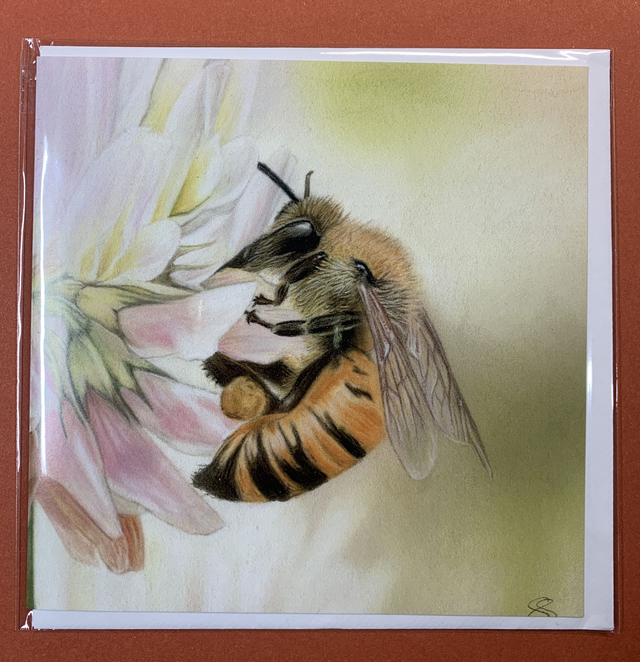 Greetings Card - Bee on Clover - Blank Inside