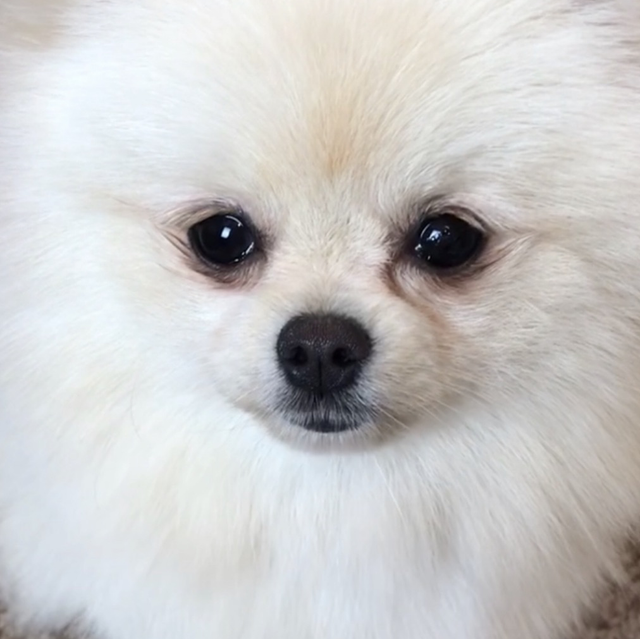 12) Educational School Visit 1 hour