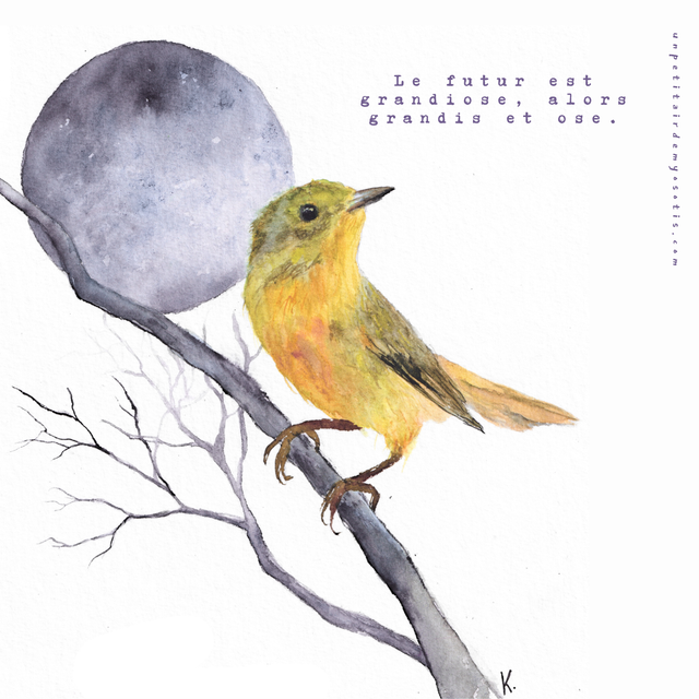 Carte postale &quot;grandis et ose&quot; paruline jaune