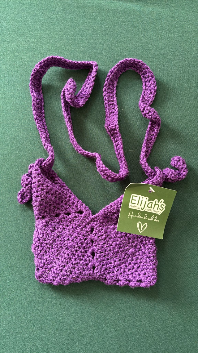 Purple Small Shoulder Bag
