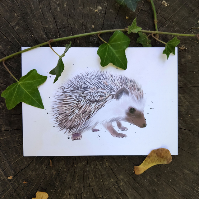HÉRISSON - Illustration format A6 ou A5