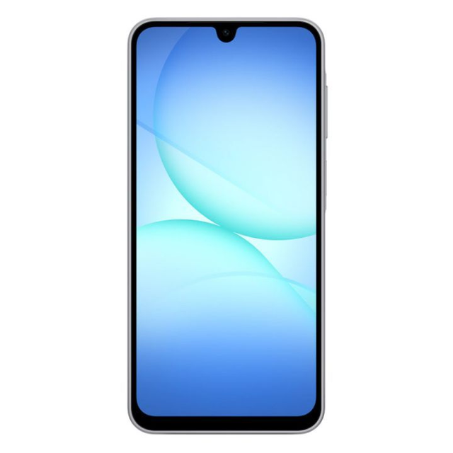 Samsung A17 128 Go 4G Gris 