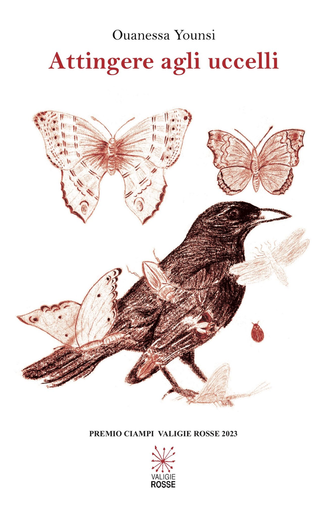 Younsi Ouanessa - Attingere agli uccelli