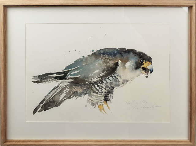 Sparrowhawk on the hunt. Original watercolour