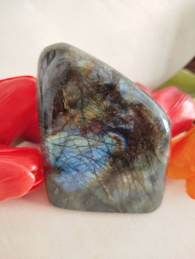 Labradorite Forme libre 