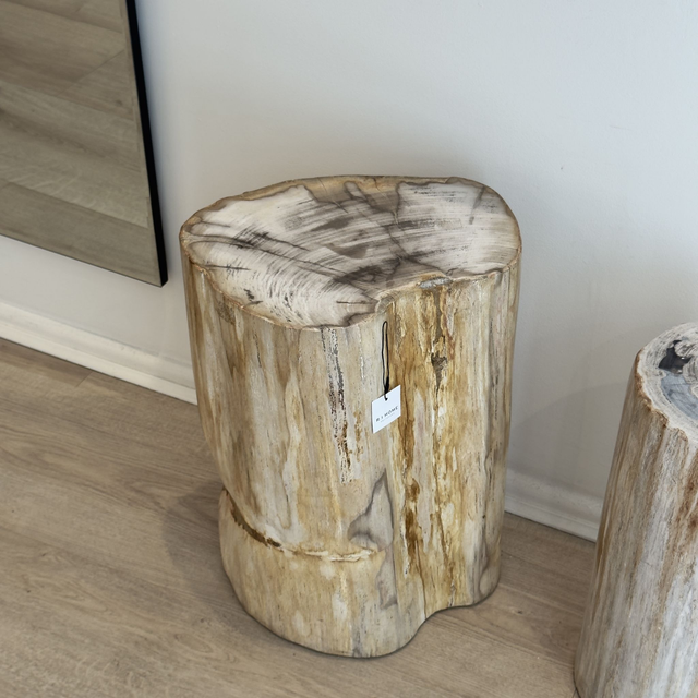 Petrified Wood Stool | 3 (Collection Only)