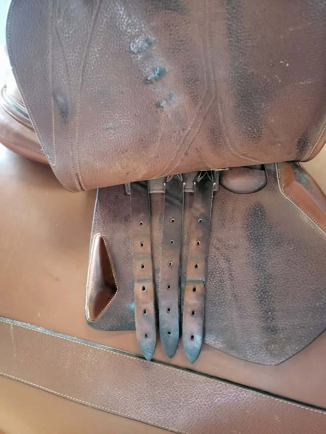 selle mixte "type Devoucoux" - 17'5 - occasion