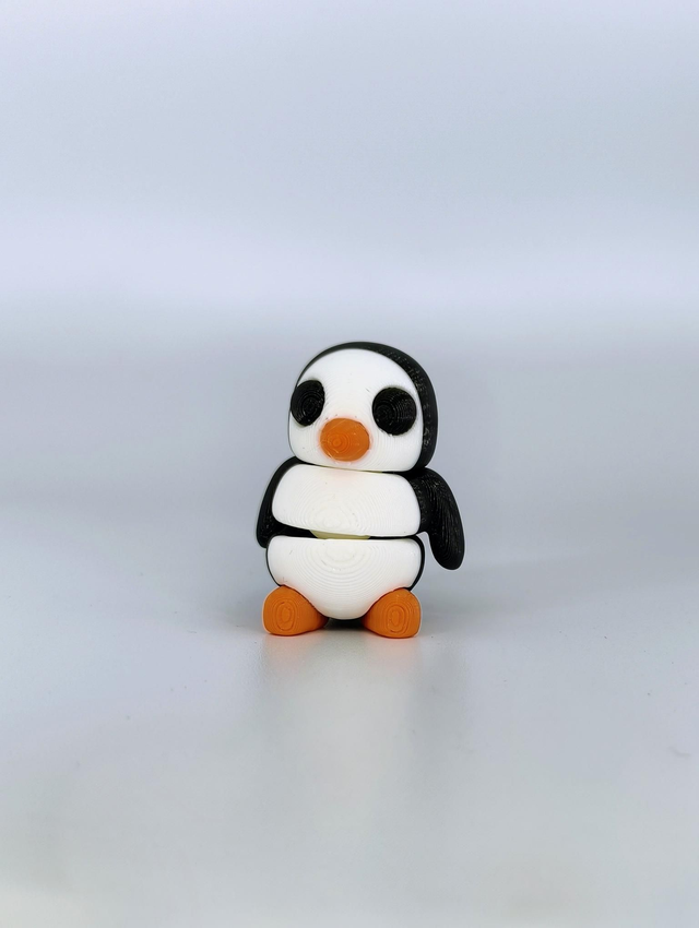 Baby penguin