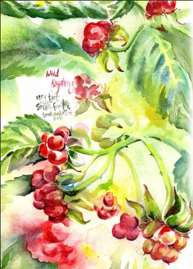 100%organic cotton beautiful Tea Towel