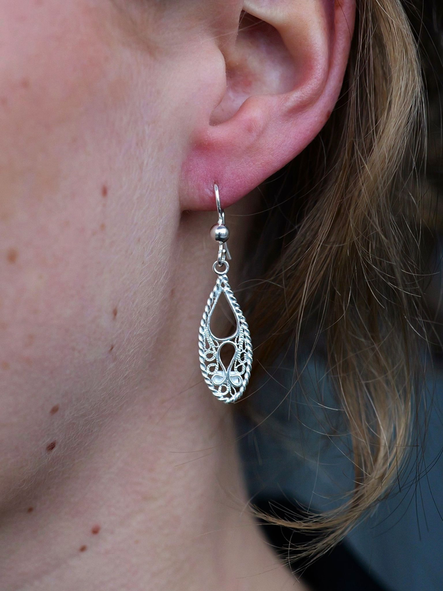 Double Drop Earrings