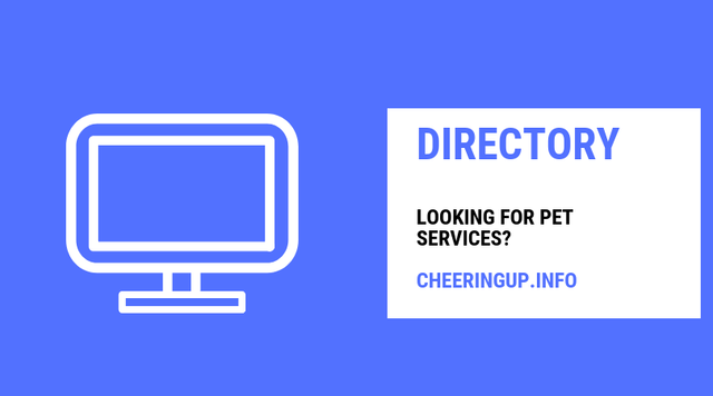 Pet Services Near Me UK Marketplace CheeringupInfo Pet Services  