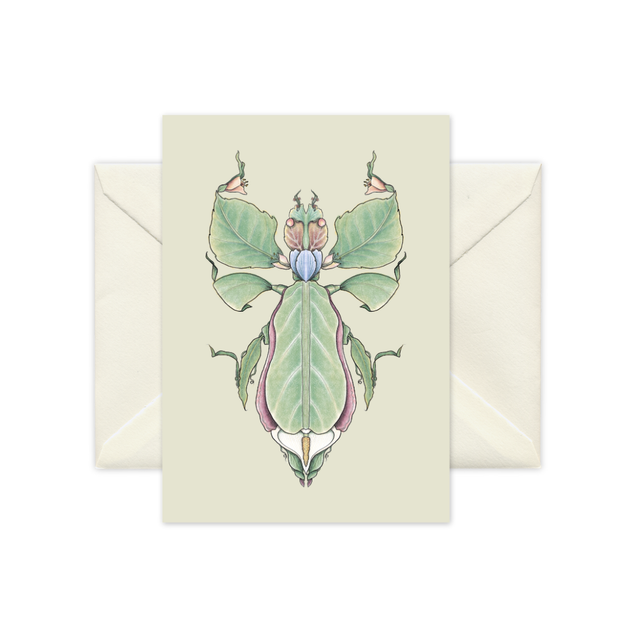 A6 mini print - Leaf Insect