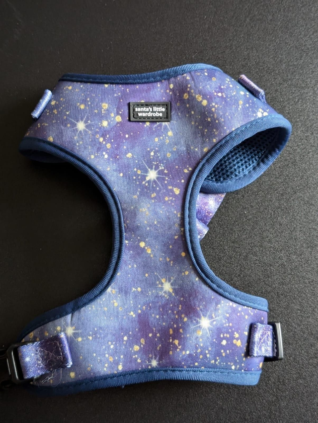 Starry Night dog harness