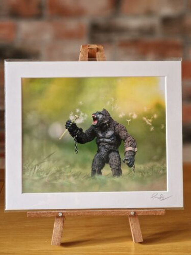 King Kong Dandelion Seeds