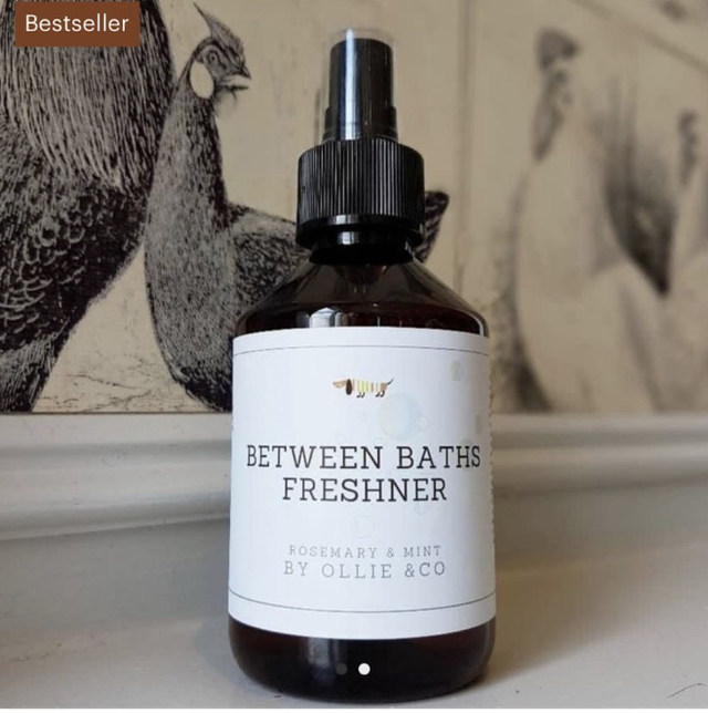 Between baths dog freshener spray with rosemary and mint