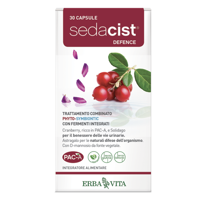 SEDACIST RAPID 6 6 BUSTINE