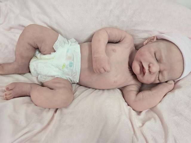 Carlota pelo pintado