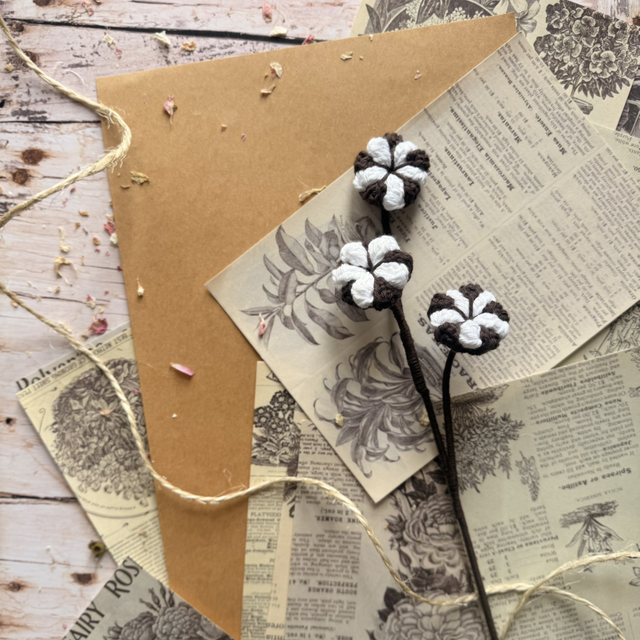 Fleurs de coton