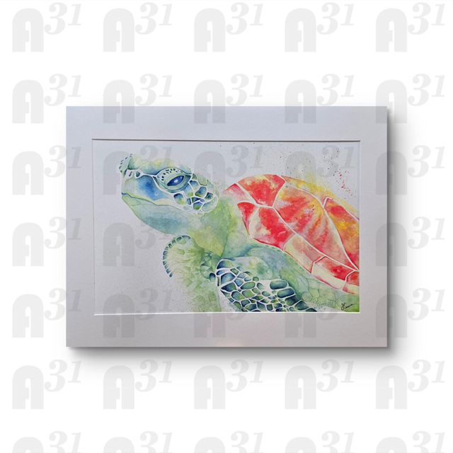 437. Raphael the Sea turtle.