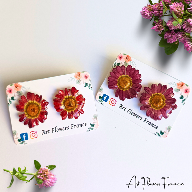Boucles d'oreilles Marguerite du Cap (2)