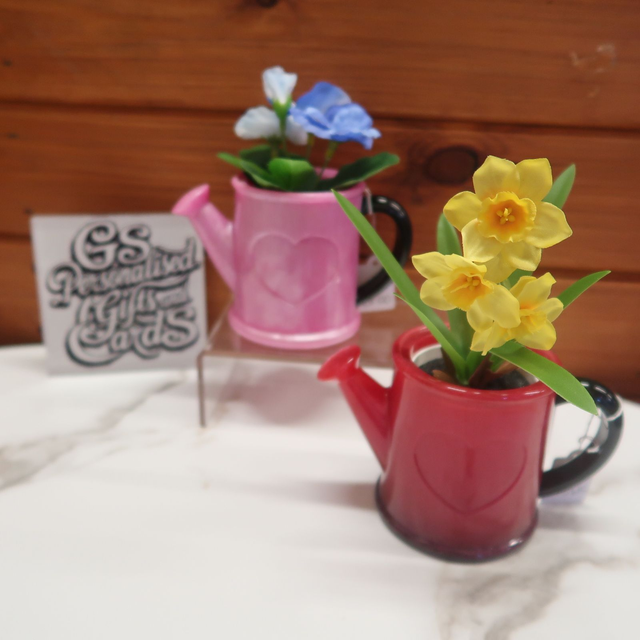 Resin watering can