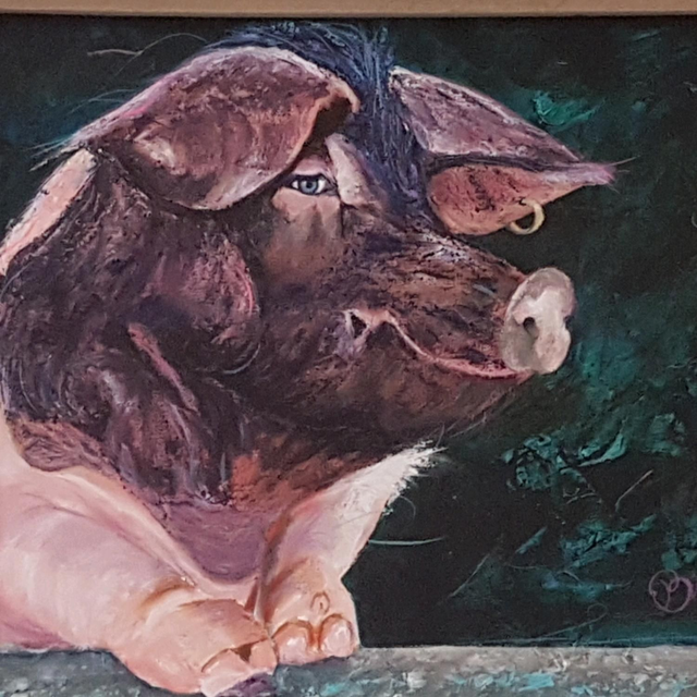 'Rock Hog' limited edition art print