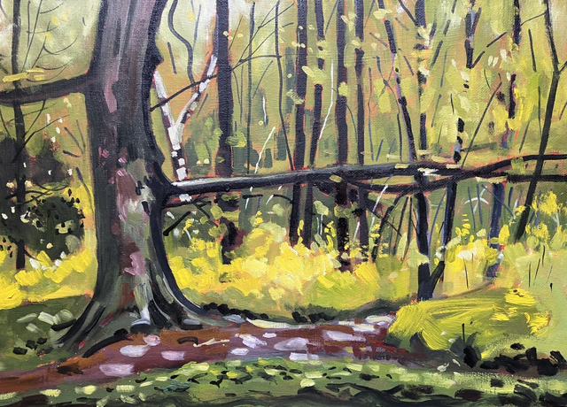 Woodland on a summer day 14x10 inch oil sketch on canvas board.