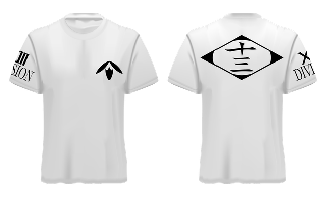 Gotei 13 - Division 13