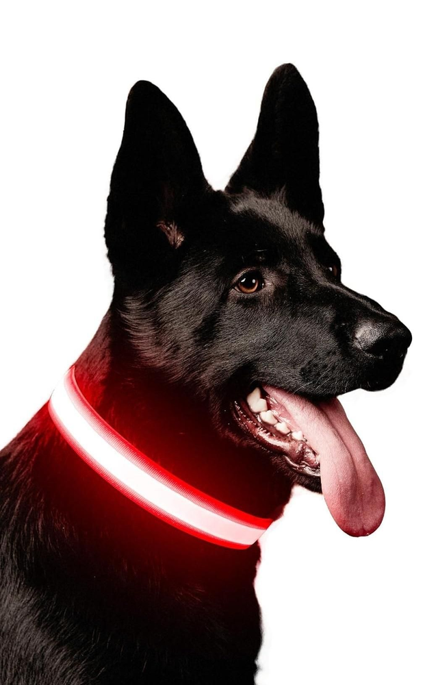 Rechargeable LED collar