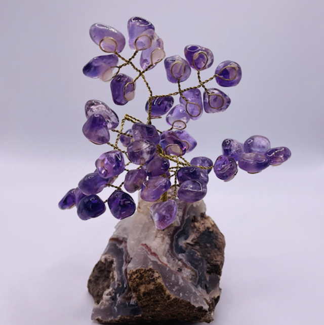 Amethyst Tree - 1 