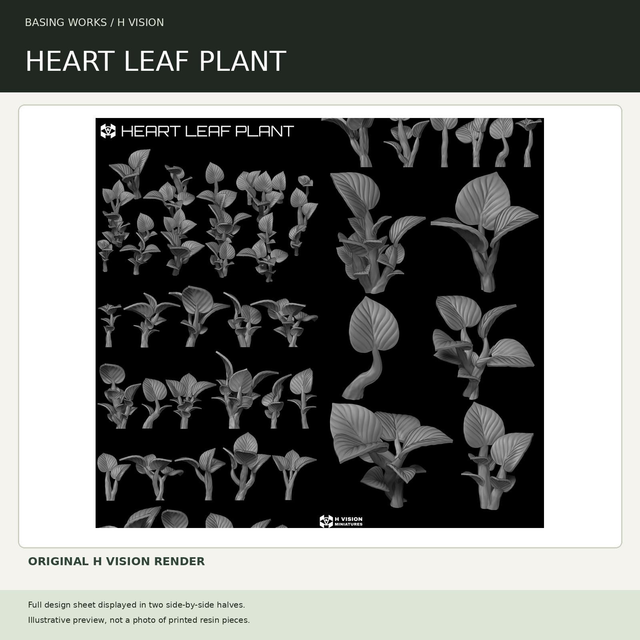 H Vision - Heart Leaf Plant