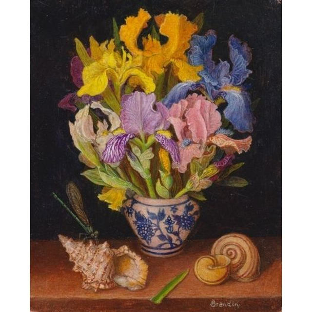 Still life with iris flowers bouquet, shells and dragonfly