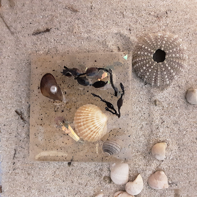 Broche grand carré collection Maritime fond sable algue et coquillage et incrustation irisée