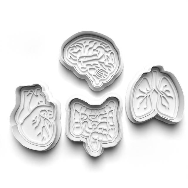 Body Organs Cookie Cutter Embosser Set of 4 Cutters &amp; Stamps Biscuit Mould Debossed Sugar Biscuits