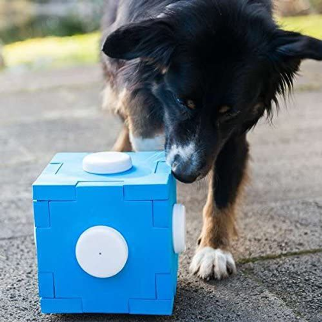 Schnüffelwürfel-Set