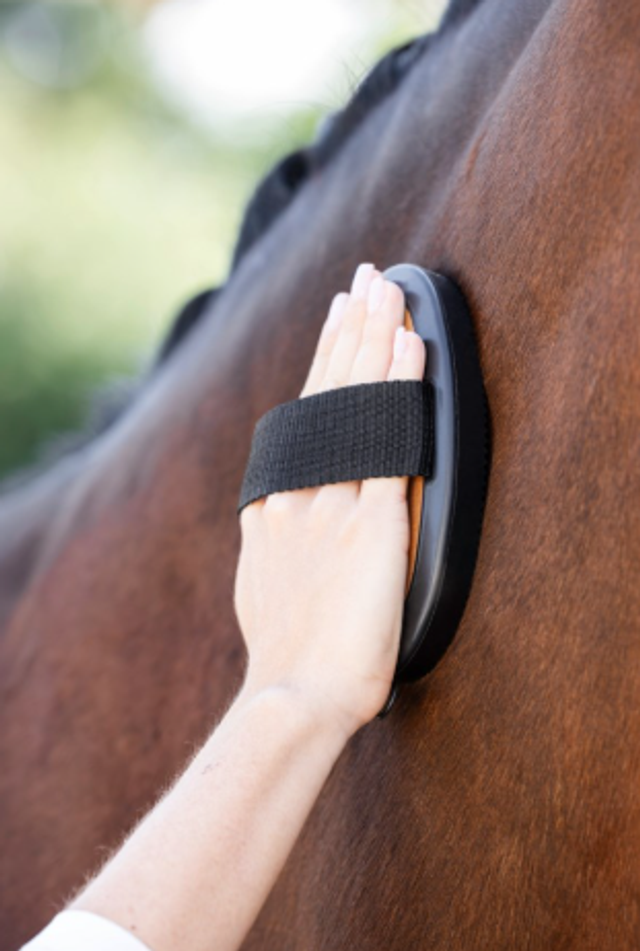 Covalliero Étrille Deluxe