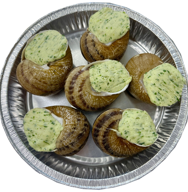 6 coquilles Surgelées