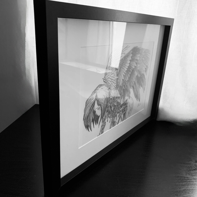 Black Box-frame Upgrade (A3)