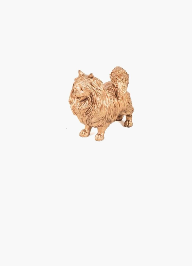 Beeld hond Pommeliriaan goud