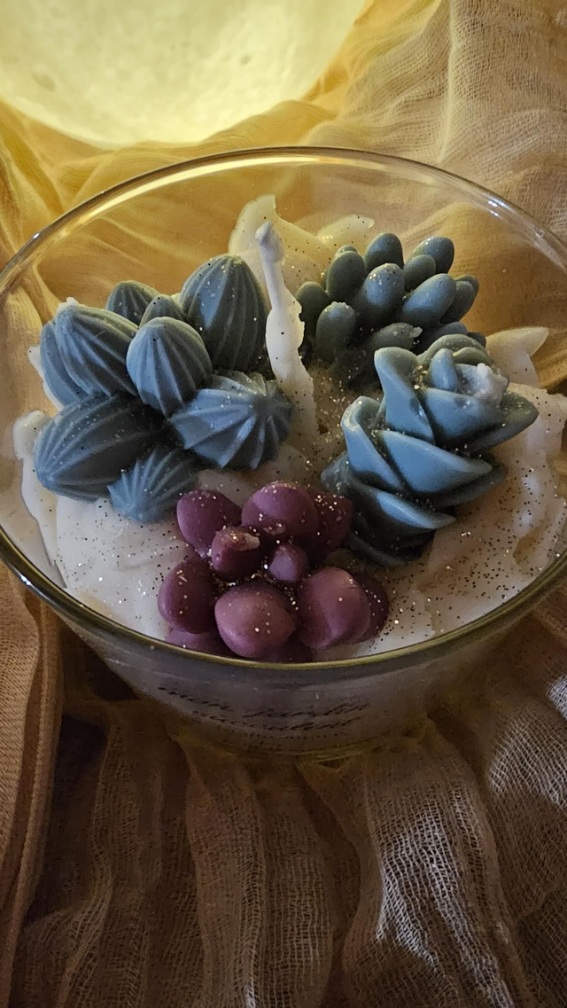  Bougie Jardin  succulent   