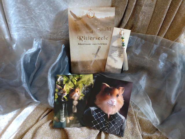 Buchbox: Zwischen Stahl und Ritterseele