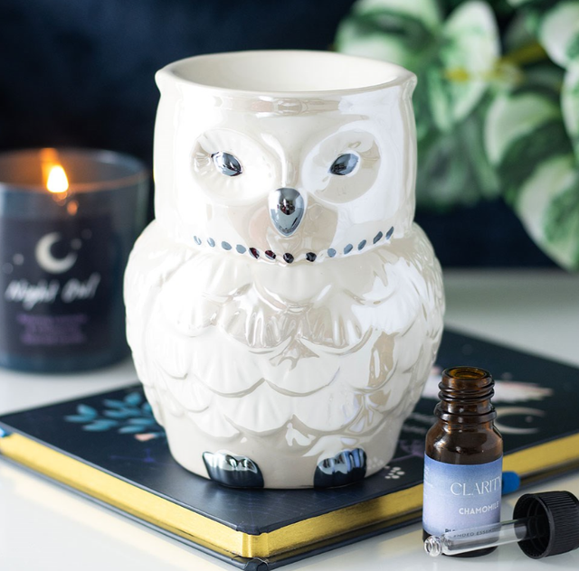 Brûleur Hibou irrisé