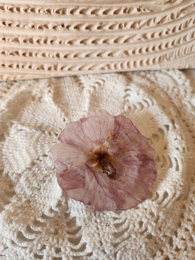 Broche althea (hibiscus) fleur séchée résine 