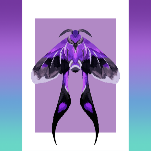 MOTH SERIES - Asexual / Demisexual Print